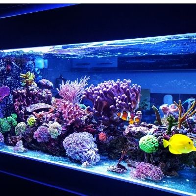 Aquariumaccessoires