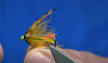 Whip Finish woensdag: Tippet Octopus Wet Fly